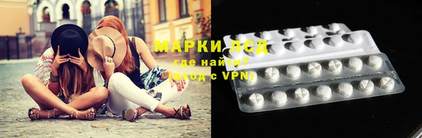 ПСИЛОЦИБИНОВЫЕ ГРИБЫ Алзамай