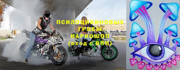 ПСИЛОЦИБИНОВЫЕ ГРИБЫ Алзамай