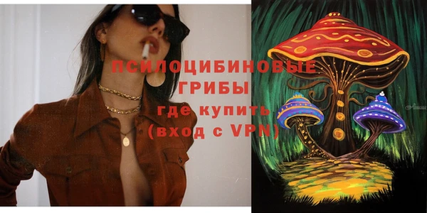 стаф Алексеевка