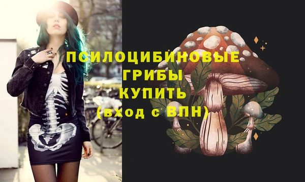 Альфа ПВП Алексин