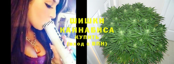 ПСИЛОЦИБИНОВЫЕ ГРИБЫ Алзамай