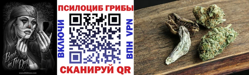 MEGA рабочий сайт Ревда Псилоцибиновые грибы мицелий