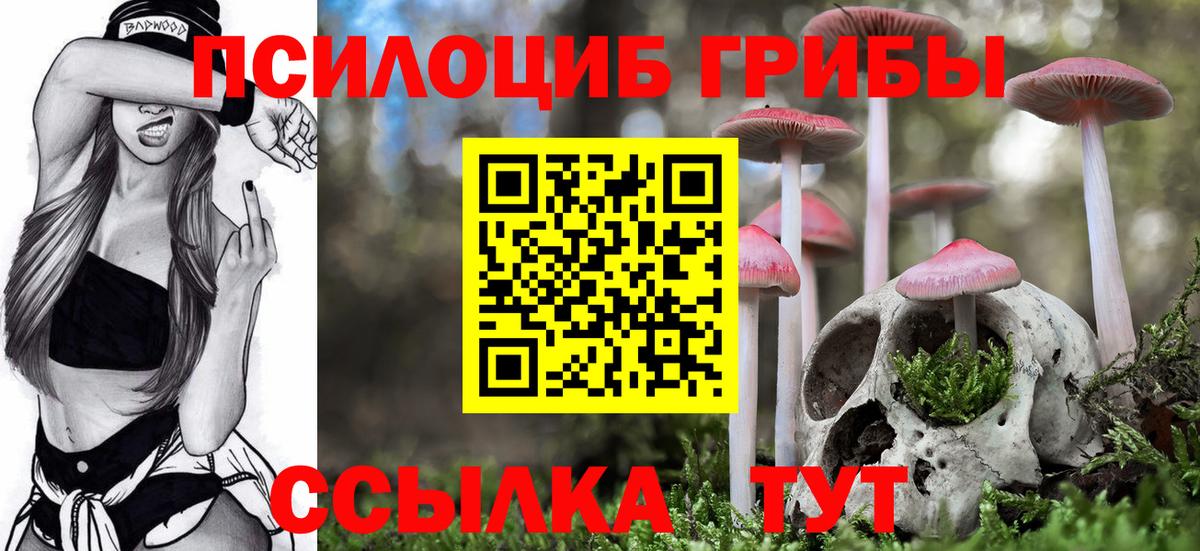 Псилоцибиновые грибы Cubensis Ревда