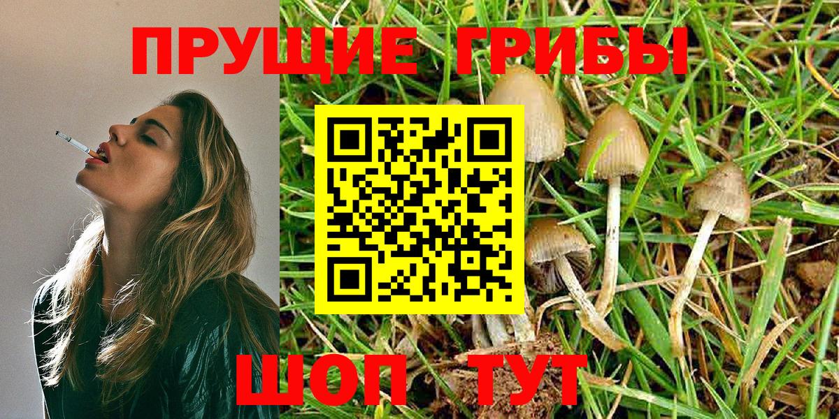 Ревда  Галлюциногенные грибы Cubensis  Вход с VPN 