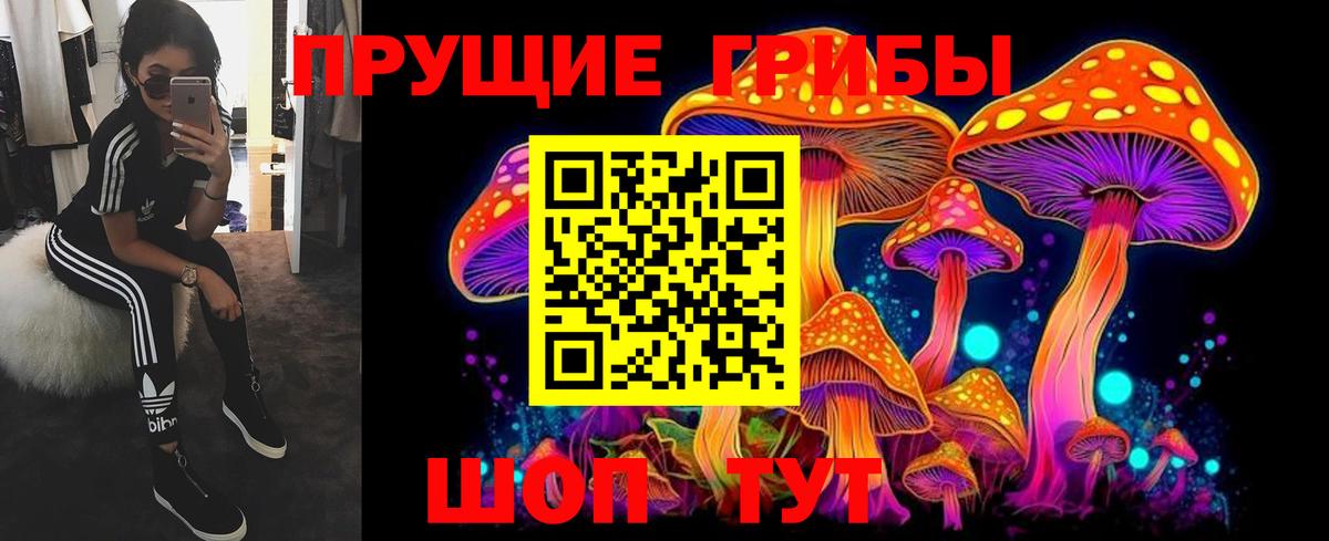 Псилоцибиновые грибы мухоморы Ревда